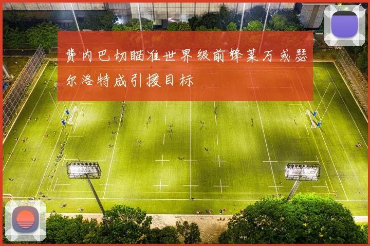 费内巴切瞄准世界级前锋莱万或瑟尔洛特成引援目标